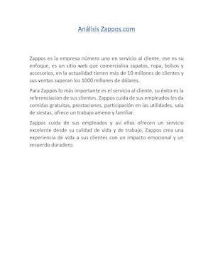 Análisis Zappos (1)