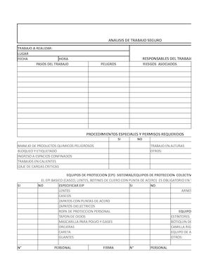 Analisis De Trabajo Seguro Luz Ma