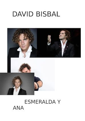 David Bisbal (2)