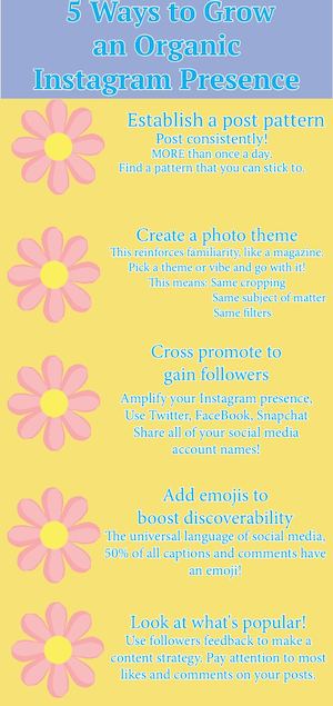 Infographic In Design
