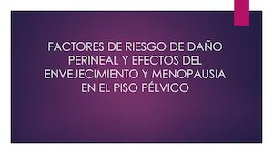 Factores De Riesgo De Daño Perineal Y Efectos