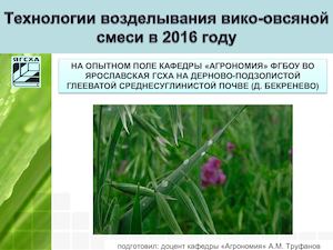 Технология возделывания вико-овсяной смеси 2016 Бекренево