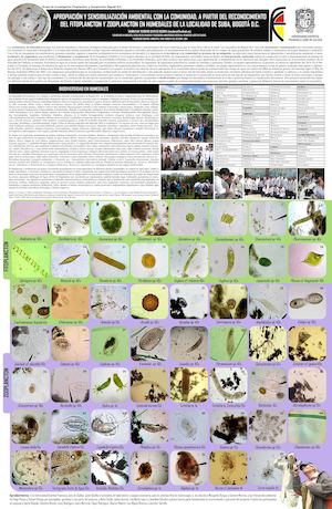 Fitoplancton y Zooplancton Humedales de Bogotá D.C. 2014-2015. Humedales Córdoba y Conejera