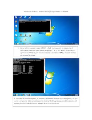 Pantallazos Evidencia Del áRbol De Carpetas Por Medio De Ms