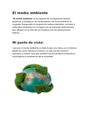 El Medio Ambiente