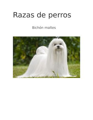 Razas De Perros En El Mundo