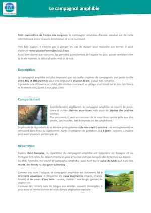 Fiche de présentation du campagnol amphibie