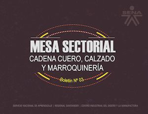 3ª Edicion Boletin Cuero Calzado