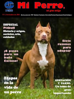 Mi Perro, mi gran amigo