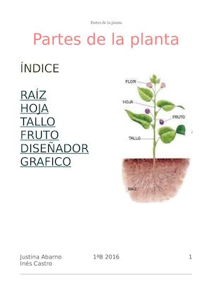 Partes De La Planta2