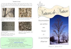Reconnaitre un arbre en hiver