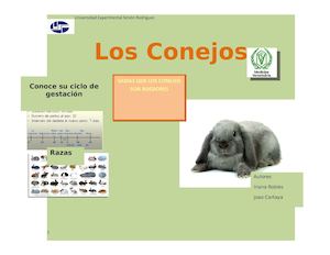Los Conejos