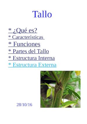 Nico Y Facu Informatica