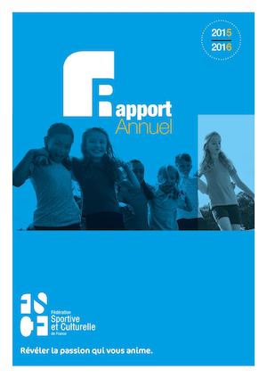 Fscf Rapport Activité 2016