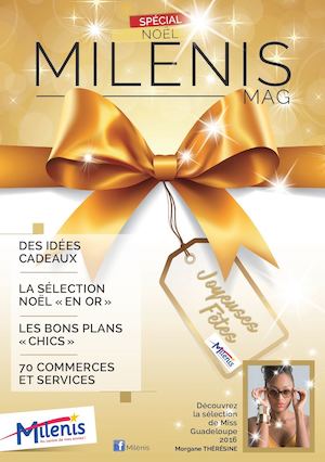 Catalogue Milenis Noël 2016