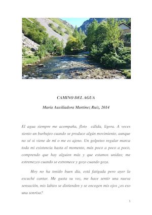 Camino Del Agua
