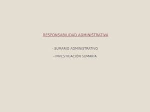 Responsabilidad Administrativa