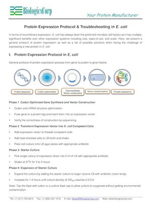 Protein Expression Protocol & Troubleshooting In E Coli