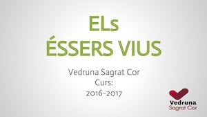 Cèl Lula I Essers Vius (1)