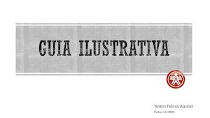 Guia Ilustrativa Copia