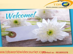 courier to canada from delhi, India dhl courier seervices