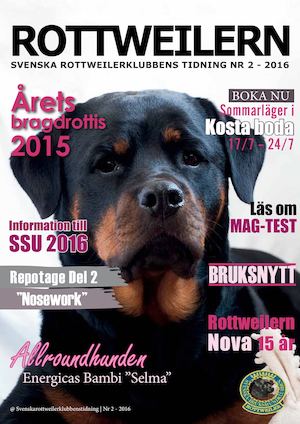 Rottweilern 2016 nr 2