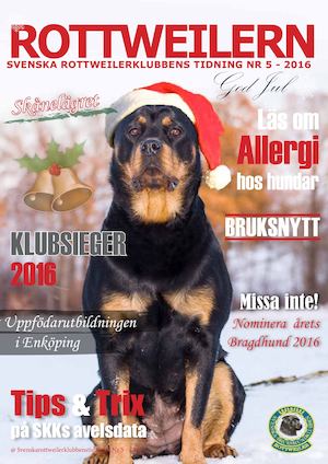 Rottweilern 2016 nr 5