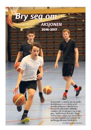 BRY SEG OM AVISA 2016