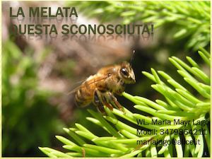 LA MELATA, questa sconosciuta - Maria Mayr - Limana2016 Apidolomiti