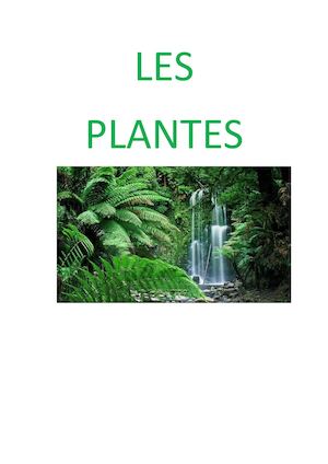 LES PLANTES
