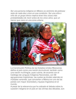 Desigualdad Indigena