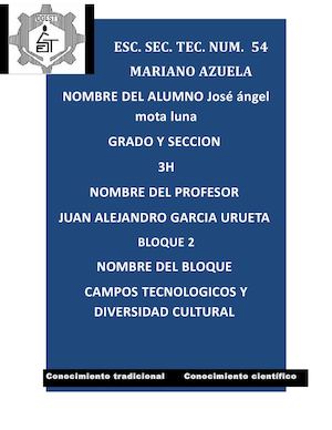 Campos Tecnologicos Y Diversidad Cultural