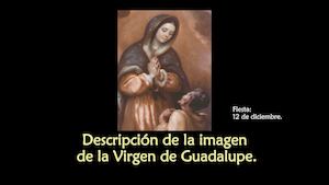 Descripción De La Imagen De La Virgen De Guadalupe