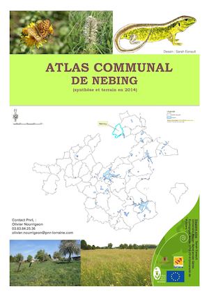 Nebing Atlas