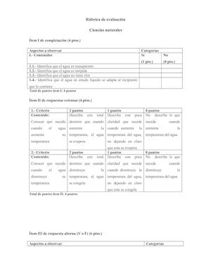 Rúbrica De Evaluación Prueba