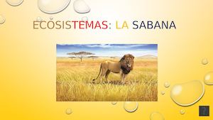 La Sabana Rocío Y Clara