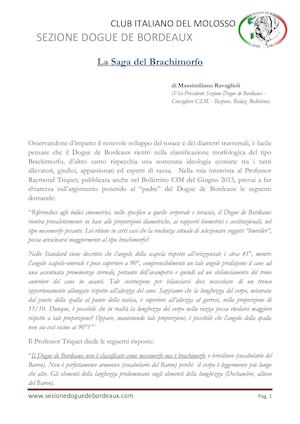 La Saga del Brachimorfo di Massimiliano Ravaglioli