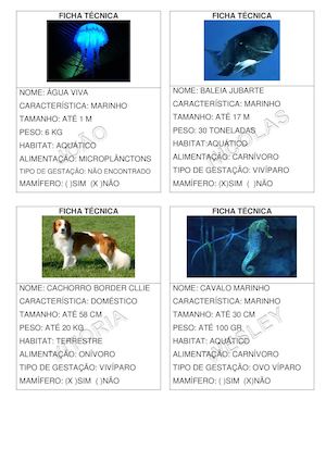 FICHA TÉCNICA 2 ANO B