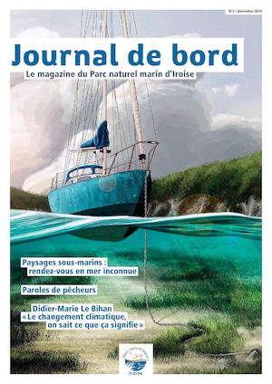 Journal de bord n°2 - Décembre 2016