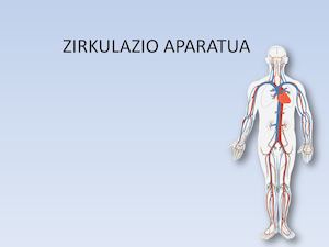 Zirkulazio Aparatua