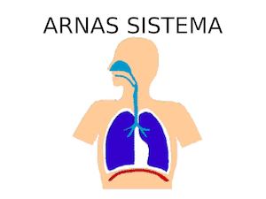 ARNAS SISTEMA