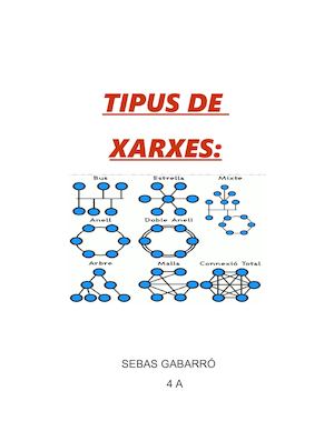 Tipus De Xarxes