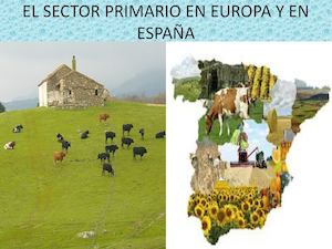 El Sector Primario En Europa Y En España, Fatima
