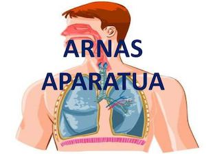 04 Egoitz 12 Oier Arnas Aparatua