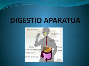 Digestio Aparatua