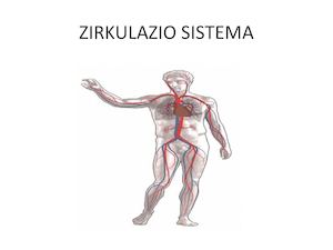 Zirkulazio Sistema