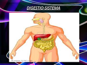 Digestio Sistema Ibai Unai