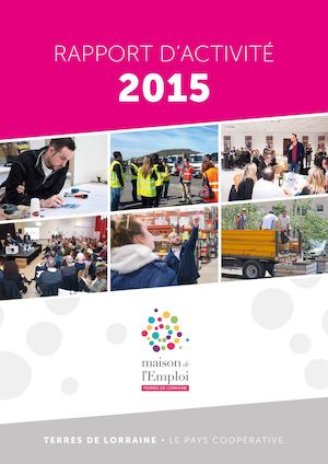 Rapport d'activité 2015