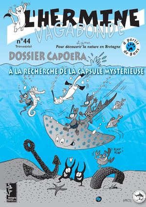 Dossier Capoera - A la recherche de la capsule mystérieuse