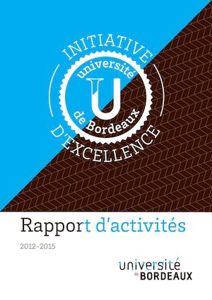 Rapport Idex 2016